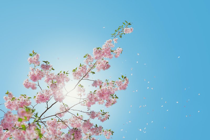 Does Sunshine Have Health Benefits?